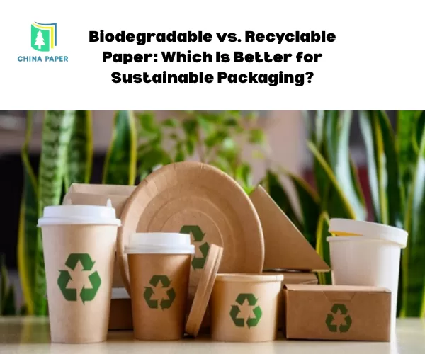 Biodegradable vs. Recyclable Paper: Which Is Better for Sustainable Packaging?
