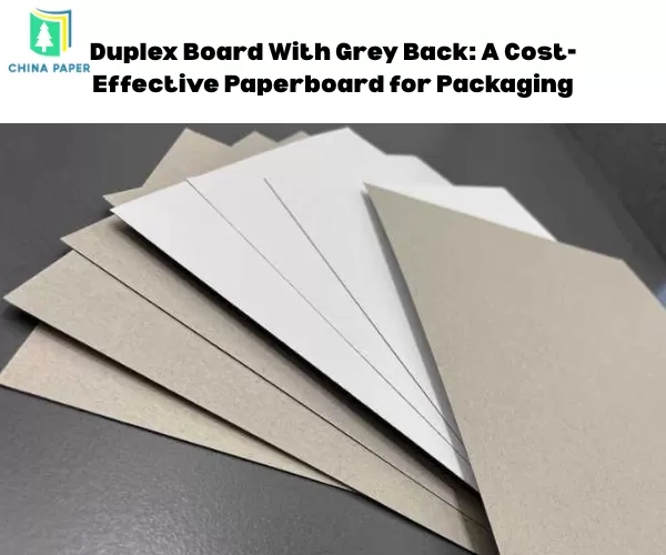 Duplex Board With Grey Back: A Cost-Effective Paperboard for Packaging