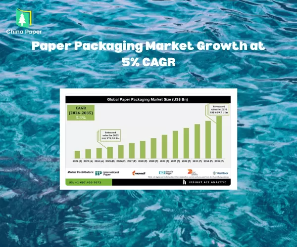 Paper Packaging Market Growth at 5% CAGR