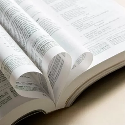 Bible Paper