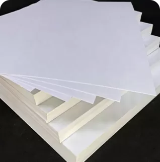 C1S Ivory Board/FBB