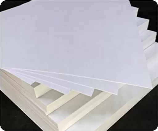 C1S Ivory Board/FBB