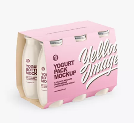 Food Packaging Box