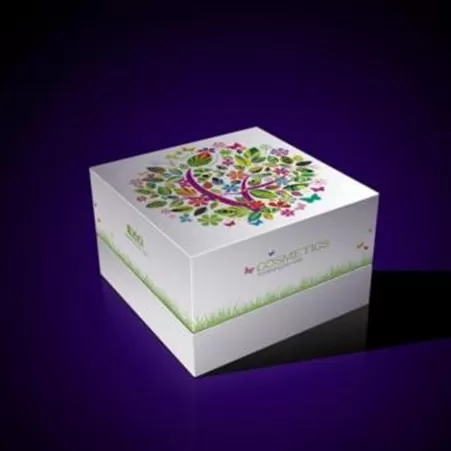 High end Packaging & Boxes