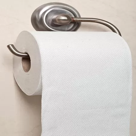 Hotel Toilet Paper