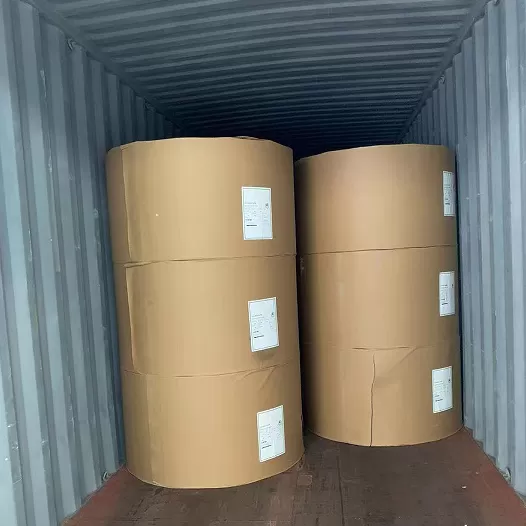 PE Coated FBB