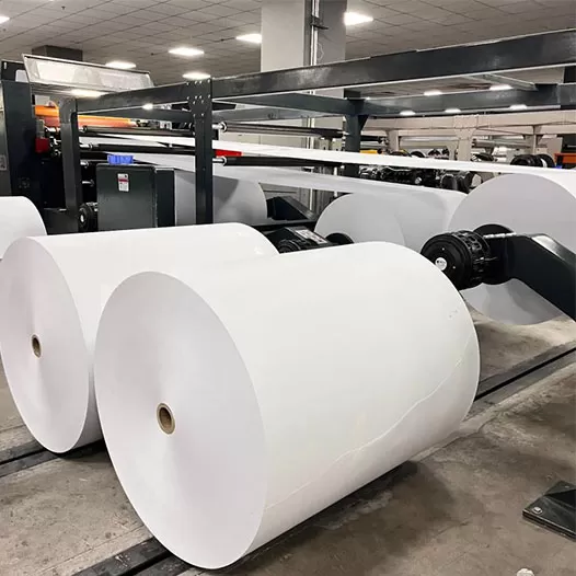 PE Coated FBB